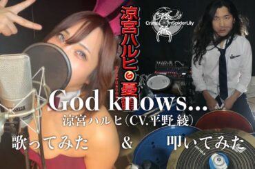 【涼宮ハルヒ】God knows.../涼宮ハルヒ(CV.平野綾)-歌ってみた&叩いてみた