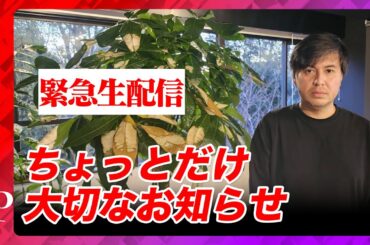 【緊急生配信】ちょっとだけ大切なお知らせ…兵庫県知事選に関して【神戸新聞さん…ランチしましょう】
