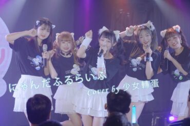 【LIVE MOVIE】にゃんだふるらいふ - ネコプラ  (Covered by 少女轉蛋)