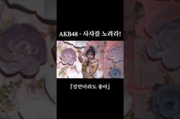 AKB48 - 사자를 노려라! (AKB48 - ライオンを狙え！)