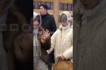 ももりんのカバンをいじいじするミナが赤ちゃんすぎる/自分のセンイル広告にデュフデュフするサナ【MISAMO/TWICE】#twice #misamo #ミナ #モモ #サナ #mina #sana