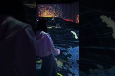 AKB48 岩立沙穂 沖縄と私。 #チームラボ #沖縄