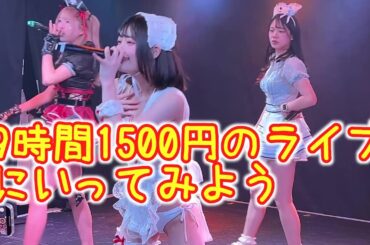 予算1600円で地下アイドルのライブに行ってみよう　#9時間1500円 のライブにいく方法 #わたあめふわり ちゃんに会おう
