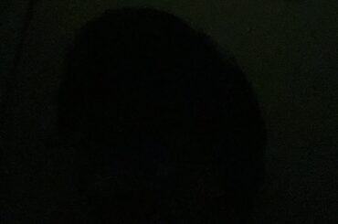 オカちゃんの新春スペシャルドラマ「岡田山下最強ハイスクール！2｣