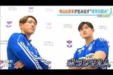 昨夏加入の新潟DF橋本健人が契約更新に合意「飽くなき向上心をピッチで表現 アルビレックス新潟は4日、DF橋本健人(25)と2025シーズンの契約更新に合意したことを発表した。