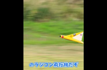 着陸に失敗するリピッシュ P.13a #ラジコン飛行機  #ラジコン