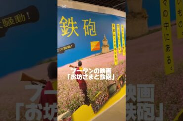 映画「みんな笑え」公開まで36日！2025年初映画鑑賞は「お坊さまと鉄砲」