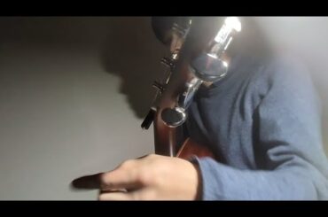 ５.✯DAN DAN 心魅かれてく-ZARD-✯弾き語り