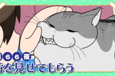 アニメ『夜は猫といっしょ』第66夜「歯を見せてもらう」