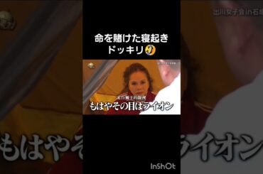 #出川哲朗　#出川女子会　#デヴィ夫人　#堀田茜　#河北麻友子 　#谷まりあ　#世界の果てまでイッテq 　#バラエティー　#お笑い　