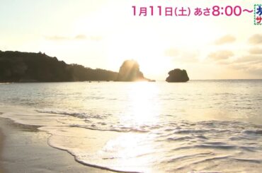 海外の旅はオーストラリア！ゲストの旅は比嘉愛未！「旅サラダ」1月11日（土）放送