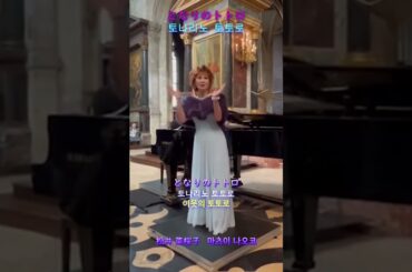 となりのトトロ 토나리노 토토로 [이웃의 토토로] / 松井菜桜子 마츠이 나오코 Naoko Matsui #となりのトトロ #music