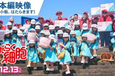 血小板、はたらきます！映画『はたらく細胞』本編映像 2024年12月13日（金）公開