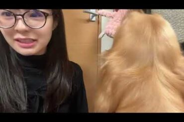 本間 日陽｜SHOWROOMショールーム 2025 01 01 22 02