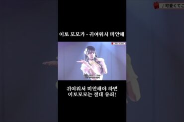 이토 모모카 - 귀여워서 미안해 / 원곡 : HoneyWorks (伊藤 百花 - 可愛くてごめん 原曲 : HoneyWorks)