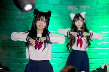 241230 연애탐구부 마하 - ごーしゅー！ + Boooost!! + ごーしゅー！ 『Happy 2nd Anniversary』 직캠