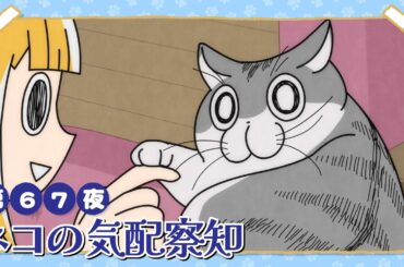 アニメ『夜は猫といっしょ』第67夜「ネコの気配察知」