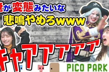 開発会社様も見てくださってるのに、俺たちは今日も喧嘩をやめられない【PICO PARK 2 #9】