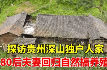 探访贵州深山里的独户人家，80后夫妻一家三口回归深山搞养殖，运气好一年能赚好几万【乡村阿泰】