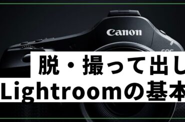 【基本編】脱・撮って出し！誰でもできるアイドルライブ写真のレタッチを紹介！#STU48 #石田千穂