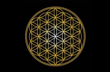 帰宅しました❗️少しだけ