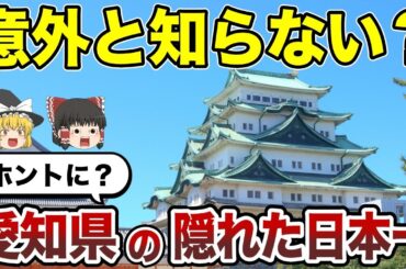 【意外！】愛知県のおもしろ日本一！札仙広福もビックリの真実【雑学】