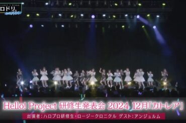 Hello！Project研修生発表会2024 12月「カトレア」 東京公演に密着！