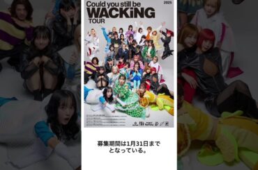 株式会社WACKの進化#豆知識 #雑学#アイドル #WACK