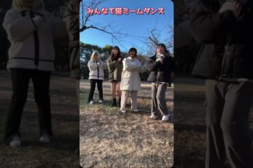 【猫ミームダンス】ひまさくメンバーがtiktokで流行ってる曲を公園で踊ってみた #アイドル #ひまわりが咲く頃に #いか #いるか #らっこ #だあちゃ # #森サークル #shorts