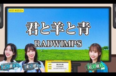 【小西夏菜実・清水理央・石塚瑶季】『君と羊と青』RADWIMPS  ひなパレ #35
