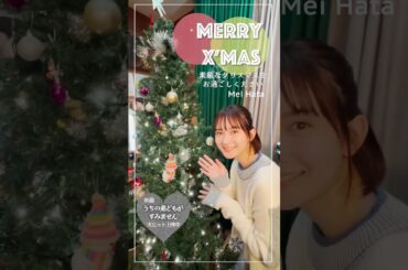 【畑芽育】クリスマスツリーを発見！【うちの弟どもがすみません】＃shorts＃うち弟＃クリスマス