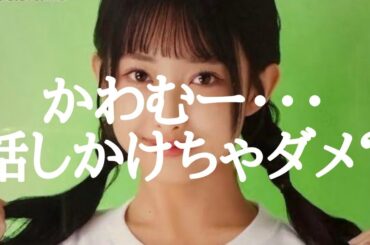 【ハロプロ】ハロステ558 アンジュルム川村文乃卒コン 石田亜佑美 北原もも 石山咲良【リアクション】(フリートーク)