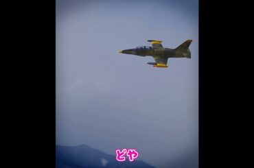 ラジコン飛行機はカッコイイ