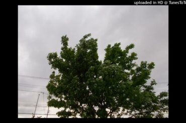 吹きすさぶ風の中で ／ 三枝夕夏 IN db