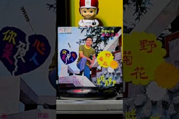 #青山之歌 #因為我愛你 #shorts