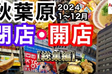 【アキバの2024年がこの一本に！】秋葉原の閉店開店したお店を巡ってみた件！【2024年総集編】