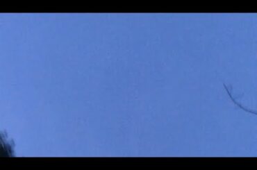 【1月19日ラジオ体操1251日目】今日も鳥がたくさんおります