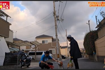 犬はザコゴミカス人間にも優しい