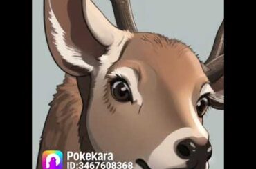 センチメンタルジャーニー　松本伊代さん