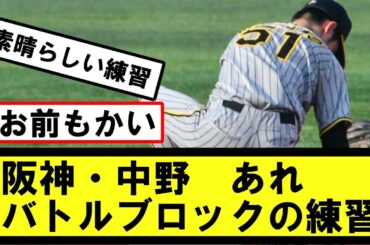 【懐かしいネタ】阪神・中野バトルブロックの練習をしてしまうww【2ch プロ野球　まとめ　】