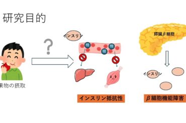 大森美優　2412030　1.16
