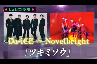 Da iCE ❌ Novel Bright -「ツキミソウ」