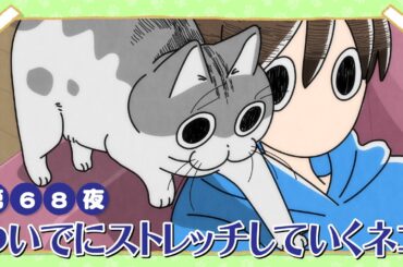 アニメ『夜は猫といっしょ』第68夜「ついでにストレッチしていくネコ」
