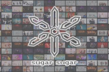【sugar sugar】1年間ありがとうございました❄️ 【2024.1.6〜2025.1.24】
