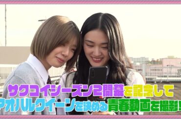 【神動画確定】櫻坂46に学校で動画撮ってもらったら大爆笑【予告編】「サクコイ」SEASON2開幕記念特番！アオハルクイーン決定戦！