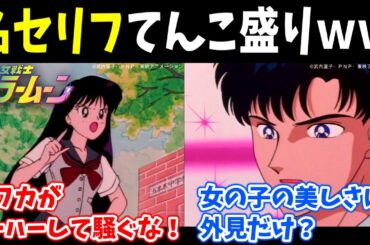 【アニメ感想・紹介】ごく普通の話なのに現代人にぶっ刺さる名言もりもりｗｗ【セーラームーン17話Ａ】