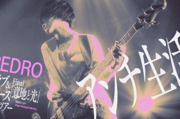 PEDRO / アンチ生活 [LIVE VIDEO]