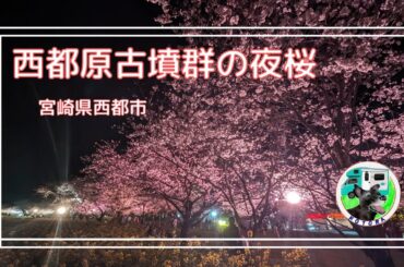 西都原古墳群の夜桜