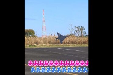 着陸に失敗するラジコン飛行機