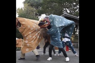 雄雌の獅子舞が戯れる